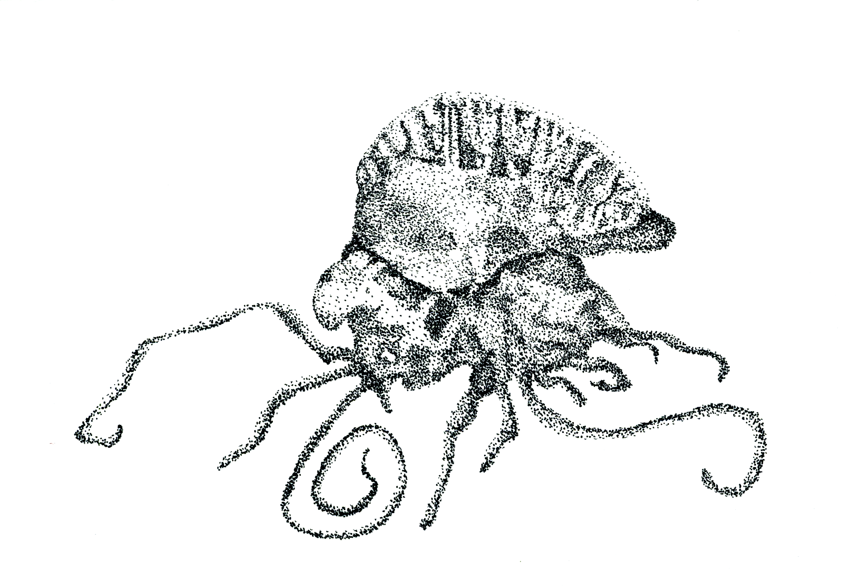 Especies peligrosas